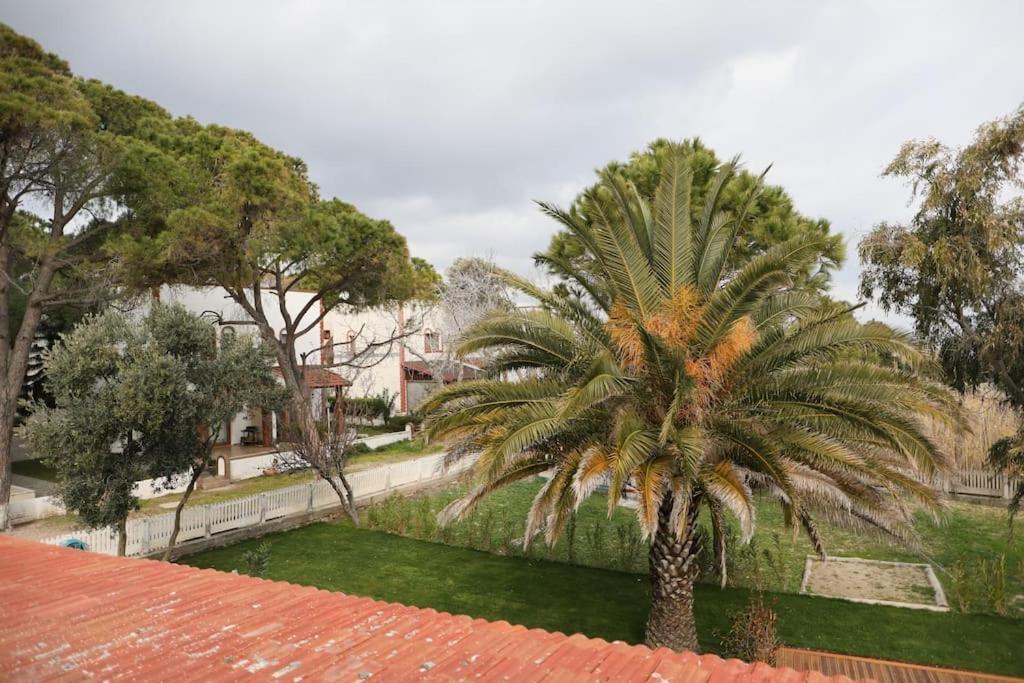 Yfn Urla Seaside House Villa Balikliova Exteriör bild